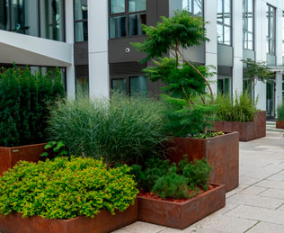 Projeto de Paisagismo Residencial